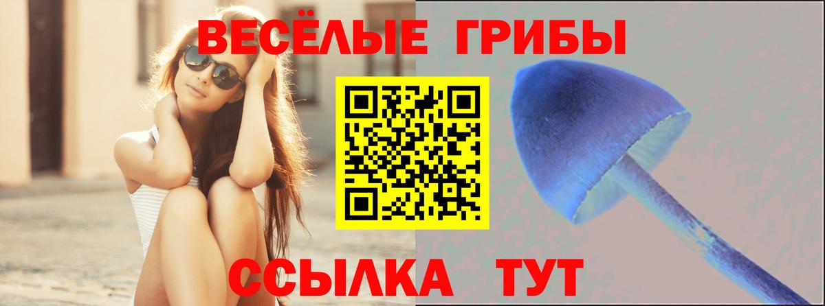 Галлюциногенные грибы мухоморы Крымск